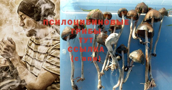 мескалин Михайлов