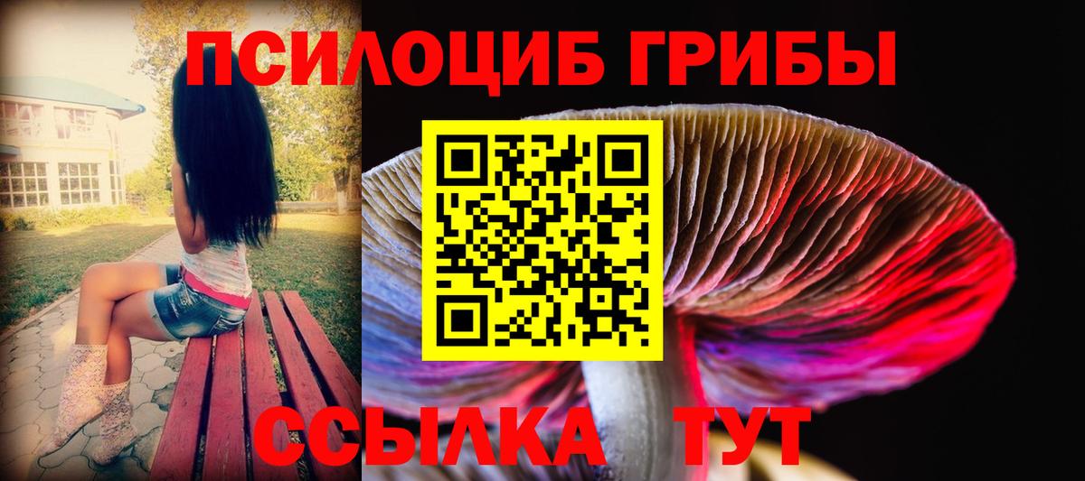 Галлюциногенные грибы MAGIC MUSHROOMS Янаул
